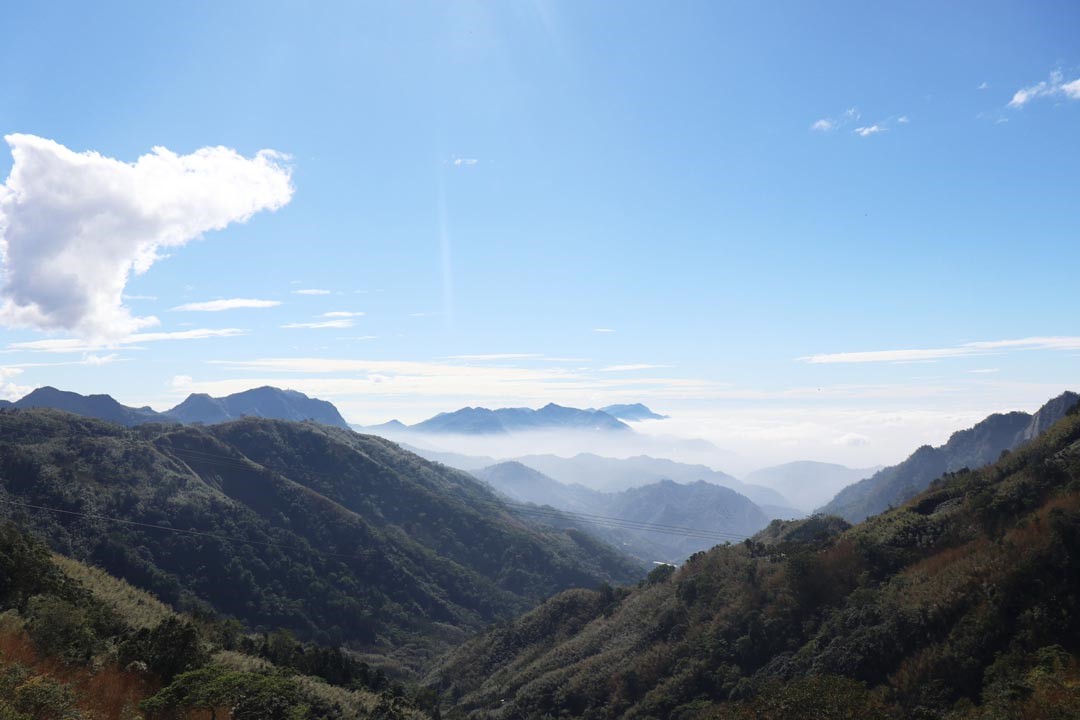 阿里山擁有絕美的雲海、雲瀑，幸運的話在火車往返過程中就能欣賞到。