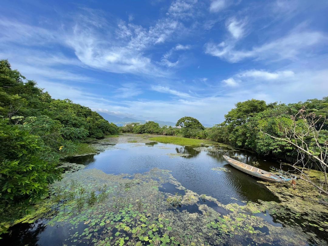 關渡自然公園擁有優質的自然生態景點。