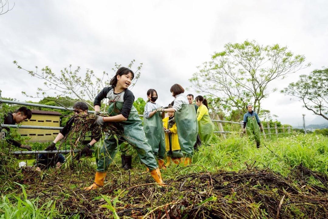 關渡自然公園，需要大家共同努力維護。